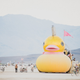 Illustration for article titled A Guide To Surviving Your First Burning Man